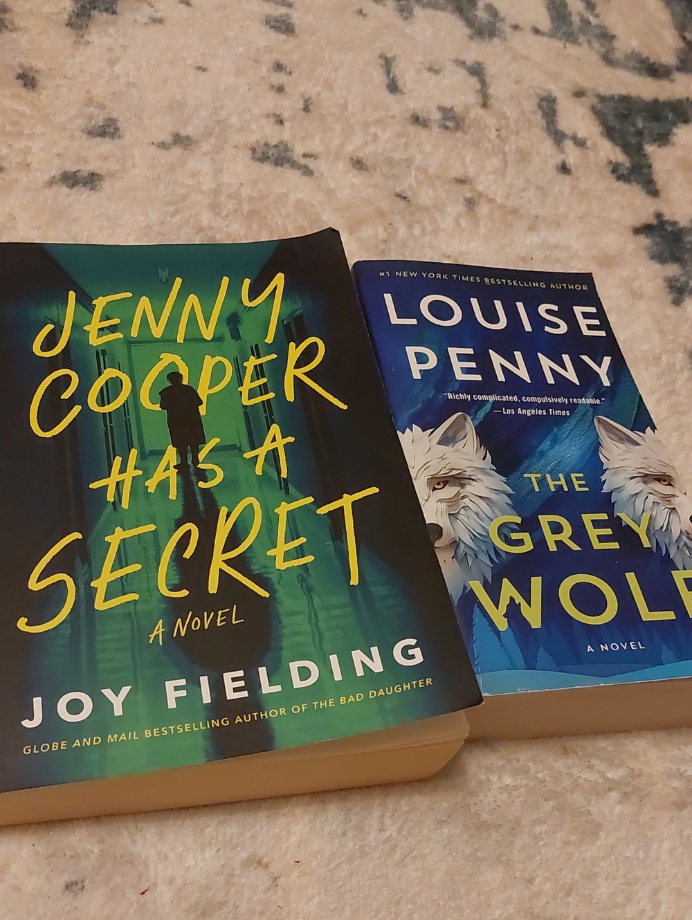 Joy Fielding & Louise Penny Bestselling Mystery Book Lot